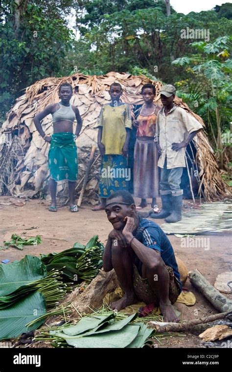 Pygmies In The Forestrepublic Of Congo Stock Photo Alamy