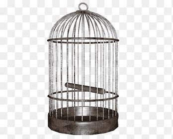 Bird Cage Png Images PNGWing Atelier Yuwa Ciao Jp