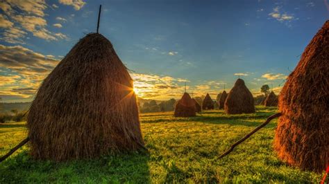 4K 5K Romania Scenery Sunrises And Sunsets Sky Fields Hay Grass