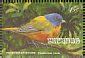 Painted Bunting Stamps Mainly Images Gallery Format