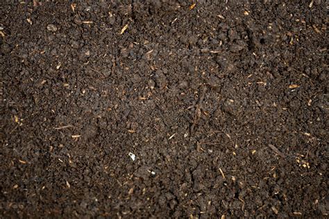 Fertile Soil Texture