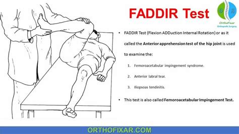 Faddir Test Physical Therapy School Physical Therapy Student