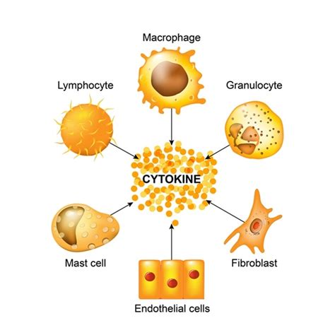 林榮茂部落格: What are Cytokines?