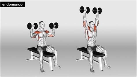 12 Shoulder Workouts For Stability & Strength In 2024