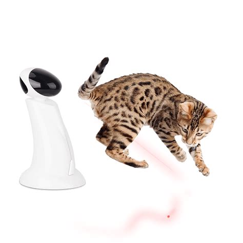 Jouet Pour Chat Afp Interactif Faisceau Laser Pet Market