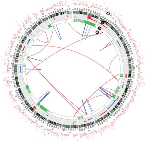 The Genomic Landscape Of Somatic Alterations Ad Various Types Of Download Scientific Diagram