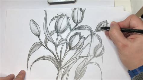 Come Disegnare Dei Tulipani Tutorial YouTube