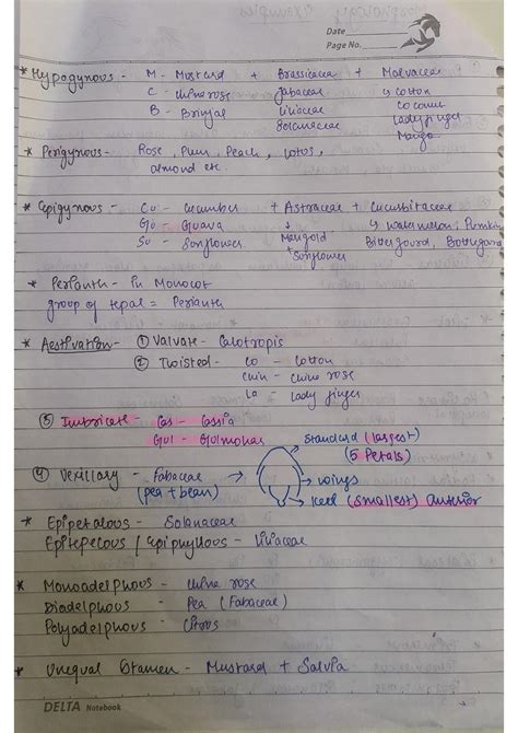 SOLUTION: Morphology examples studypool - Studypool