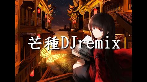 【芒種djremix】（音闕詩聽※趙方婧）【動態歌詞lyrics】 Youtube