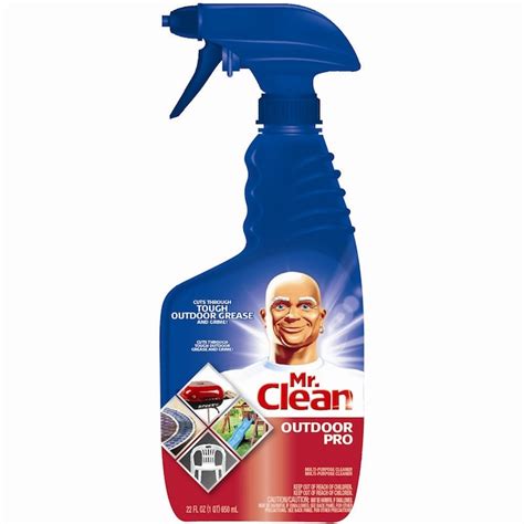 Mr Clean Outdoor Pro 22 Oz Regular All Purpose Cleaner In The All