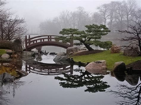 Pond Photo Roundup: January 25 | Japanese garden design, Japanese garden landscape, Japanese garden