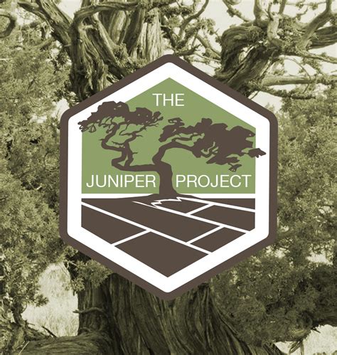 The Juniper Project — The Solution To A Growing Concern - Allwood