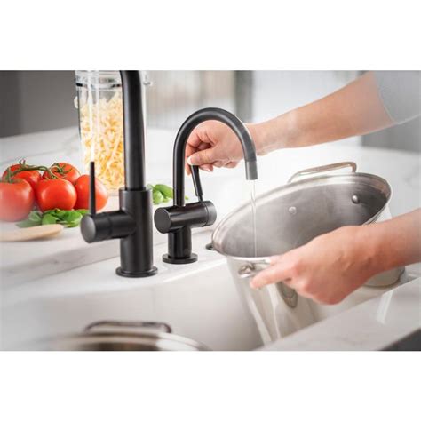 InSinkErator Indulge Modern Series 1 Handle 9 25 In Faucet For Instant