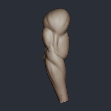 Male Anatomy Need Feedback Polycount