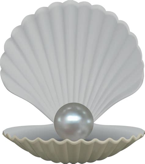 isolated open shell with pearl 44275595 Vector Art at Vecteezy