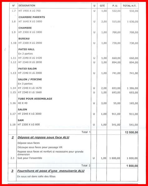 Modele De Devis Sur Word Financial Report