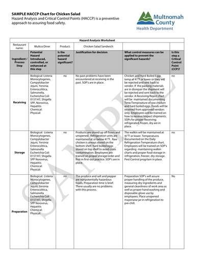 Free 9 Haccp Hazard Analysis Templates In Pdf Ms Word