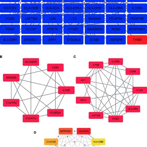 Ppi Network Construction And Analysis Of Hub Genes A The Most