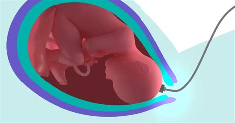 Full Guide on Fetal Scalp Monitoring in Delivery Supervision