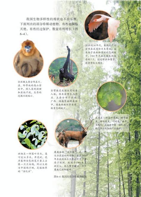 第三章 保护生物的多样性2013年审定人教版八年级生物上册（高清）初中课本 中学课本网