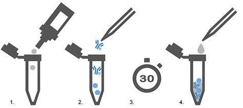 Flow Cytometry Compensation Beads | Thermo Fisher Scientific - US