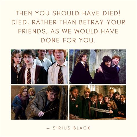 Harry Potter Friendship Quotes 8 | QuoteReel