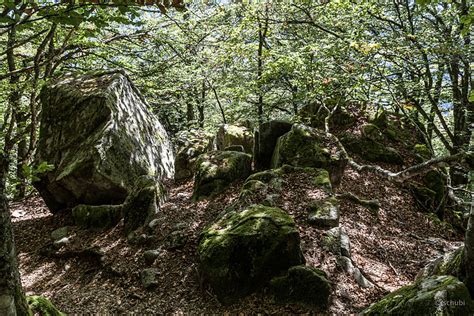 Dicken Felsbrocken Mal In Den Wald Hinein Fotos Hikr Org