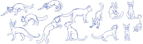 Cat Pose Practice By Sinful Souls On Deviantart