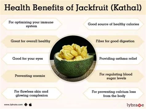 Unripe Jackfruit Nutrition Facts Besto Blog