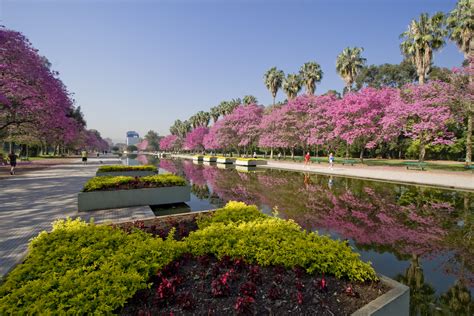 Conoce El Parque Farroupilha En Brasil Parques Alegres I A P