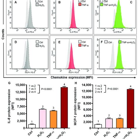 Il 8 And Mcp 1 Protein Expression In Thp 1 Cells Stimulated With Tnf α