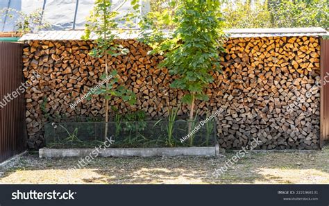 Oak Chopped Firewood Neatly Stacked Alternative Stock Photo