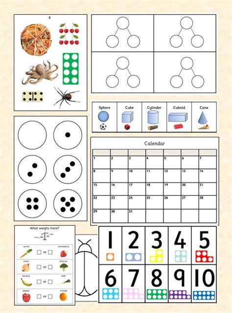 White Rose Maths Resource Pack Eyfs Spring Teaching Resources