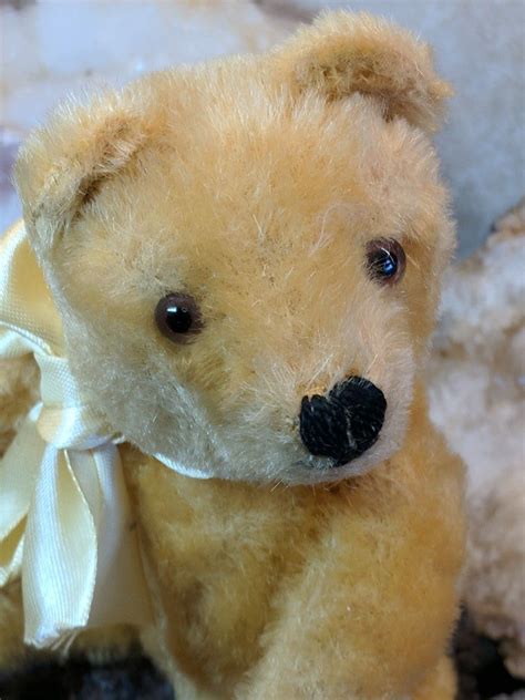 S Vintage Gold Steiff Original Teddy Bear S Vintage Vintage