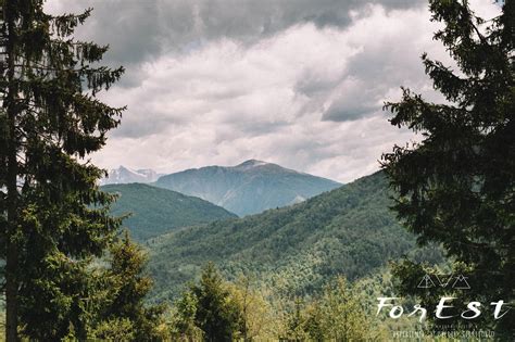 Alle Malghe Di Porzus Forest Studio Naturalistico