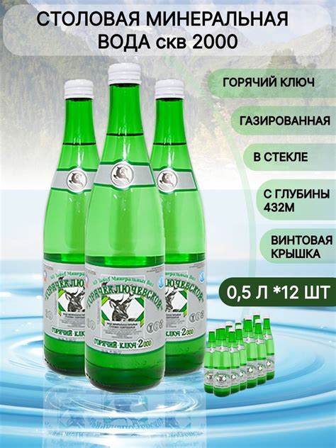 Вода минеральная Горячий ключ 2000 газированная 0.5л стекло - купить с ...