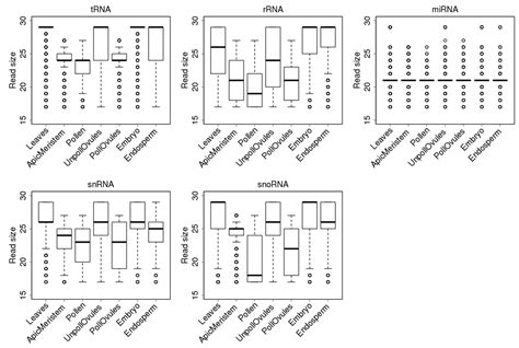 Ncrna Free Full Text Computational Characterization Of Ncrna