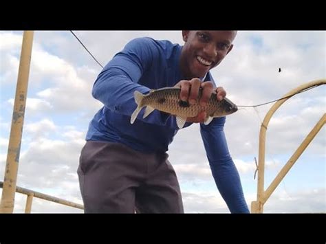 Pescaria de Piau em Petrolina PE Será que deu bom pesca pescaria