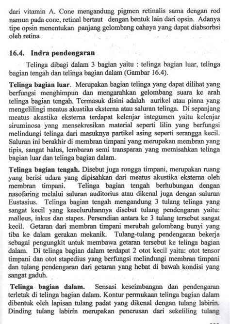 Pdf Sistem Indra Anatomi Fisiologi Manusia Pdfslidenet