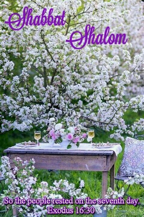 Shabbat Shalom Flower Farm Spring Blossom Flowering Trees