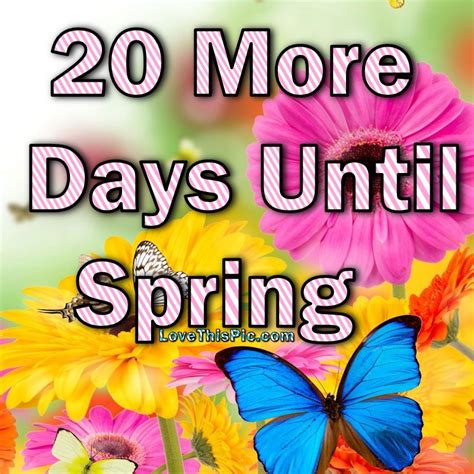 How Many Days Till May 30 2025 Craig P Nelson