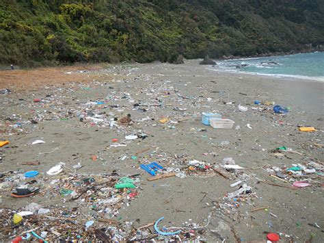 海のプラスチックごみを減らし きれいな海と生き物を守る！～「プラスチック・スマート」キャンペーン～ 政府広報オンライン