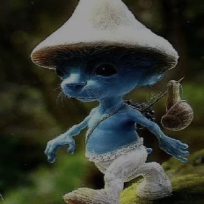 Smurf Cat Shailushai Profile Pfp S Code Price Rblxtrade