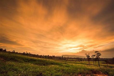 Sunset Field Stock Photos, Images and Backgrounds for Free Download