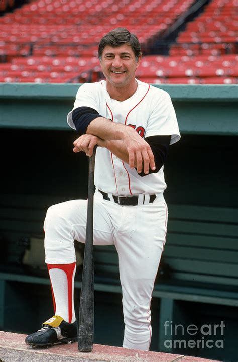 Carl Yastrzemski Photograph By Rich Pilling