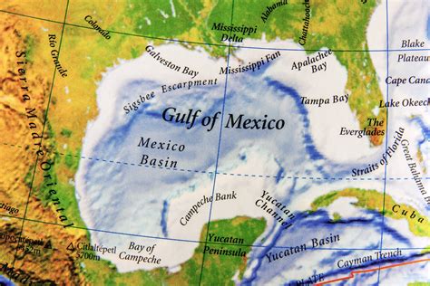 Protected Species Observer - Edgewise Environmental