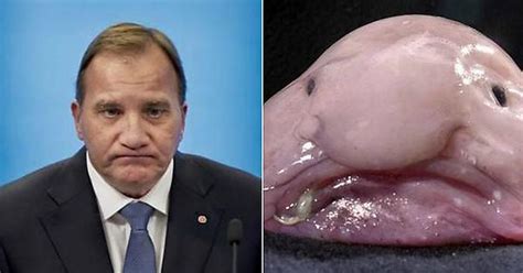 Blobfish Imgur