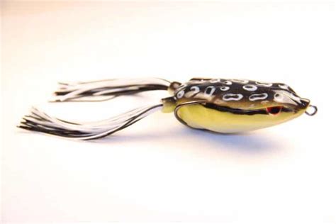 Best Frog Lures for Bass Fishing - Tactical Huntr