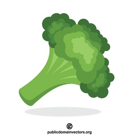 Broccoli clip art Royalty Free Stock SVG Vector and Clip Art