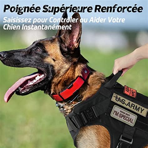 Rabbitgoo Harnais Tactiques Pour Chien M Noir Gilets Anneaux Pour